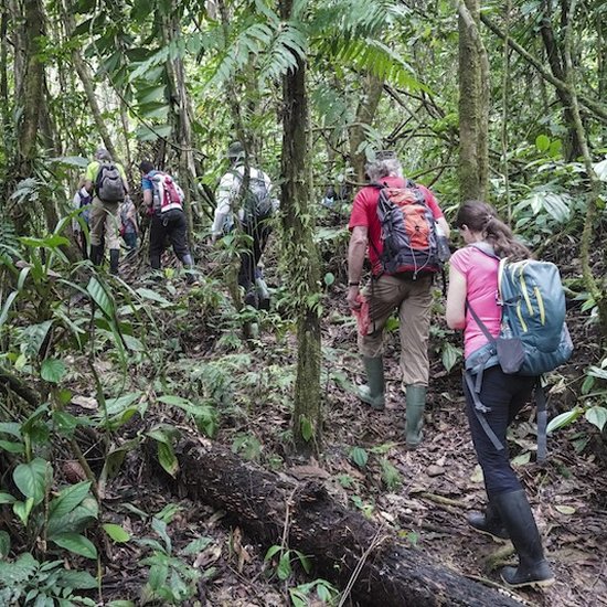 Travel Blog Manu National Park & Amazon Peru