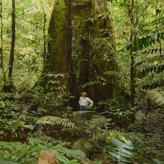 Travel Blog Manu National Park & Amazon Peru