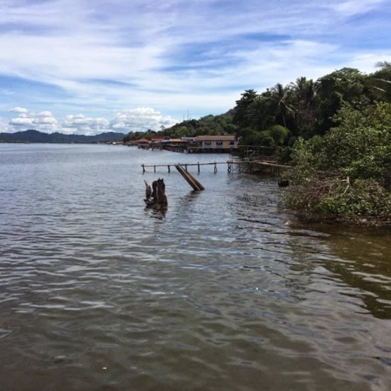Travel Blog Manu National Park & Amazon Peru