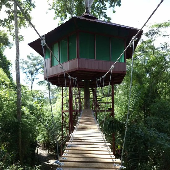 Travel Blog Manu National Park & Amazon Peru