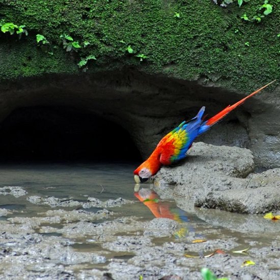 Travel Blog Manu National Park & Amazon Peru