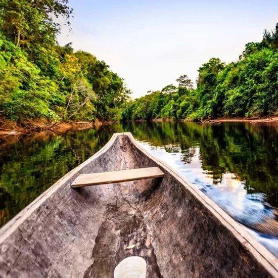 Travel Blog Manu National Park & Amazon Peru