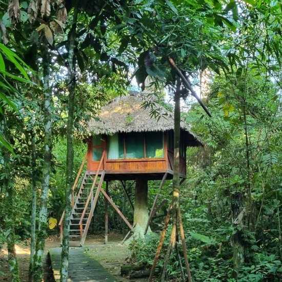 Travel Blog Manu National Park & Amazon Peru