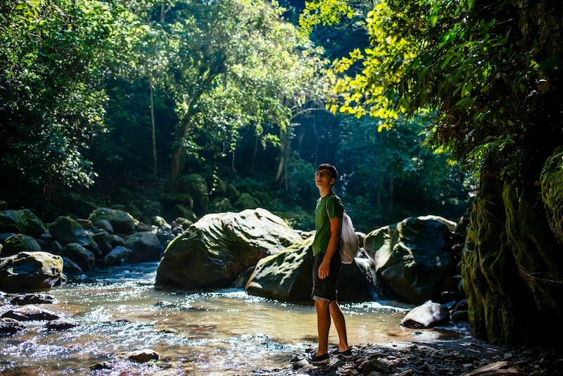 Amazon Rainforest Tours,Amazon Jungle Tours Peru, Amazon Rainforest Peru
