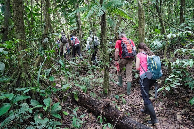 Amazon Rainforest Tours, Manu Park, Manu National Park, Amazon Rainforest Peru, Manu National Park