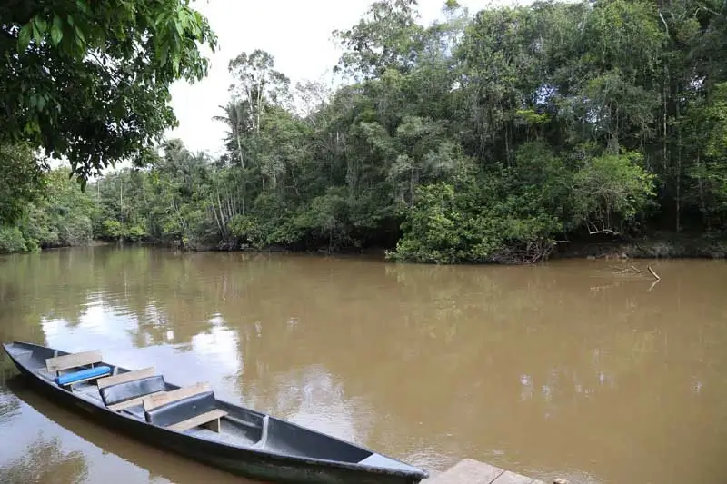 Canoeing in Manu National Park: A Unique Adventure