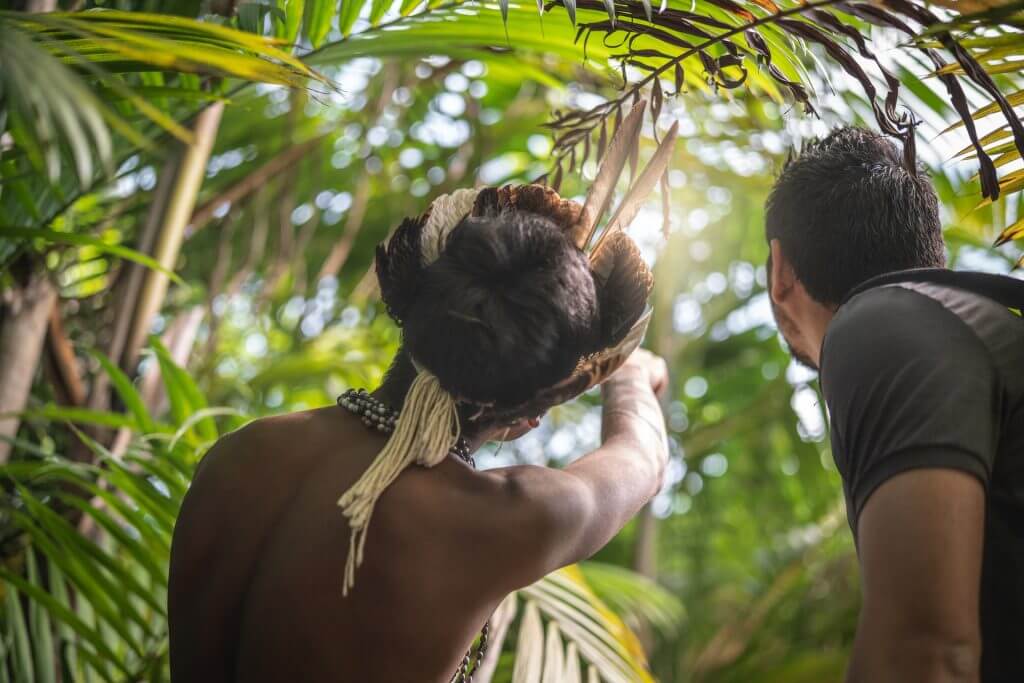Amazon Rainforest Tours offer an immersive journey into this unique ecosystem. You can see the colorful animals in the rainforest. Look for jaguars, macaws, and pink dolphins, Manu National Park