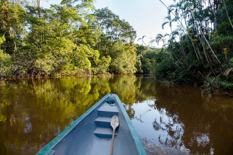Amazon Rainforest Tours, Manu National Park Peru Tours