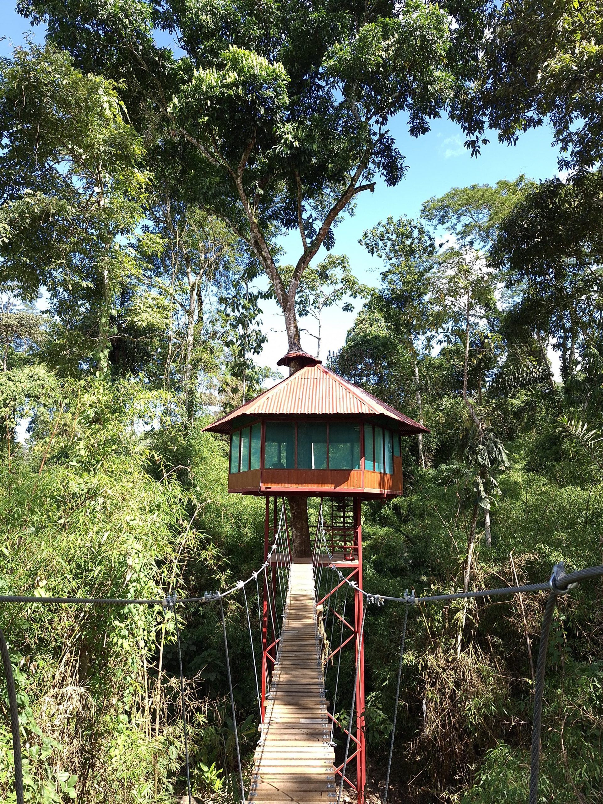Tree House Jungle