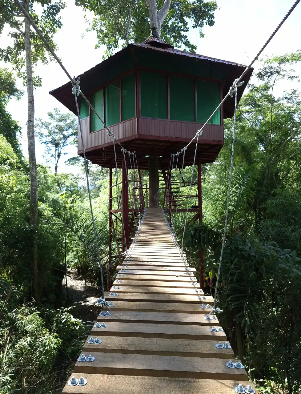 Tree House Jungle