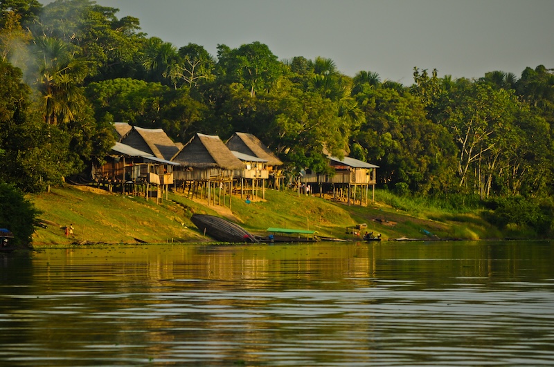 Amazon Rainforest Tours