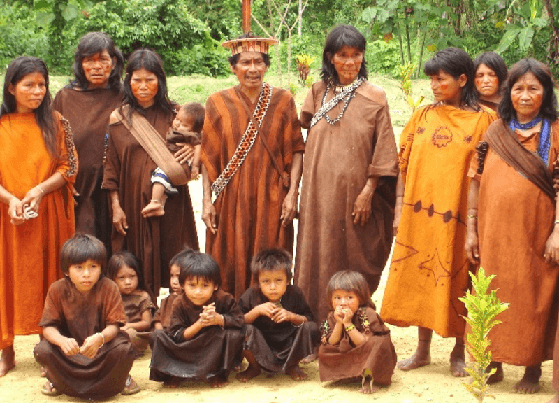 Mastiguenka, Manu National Park
