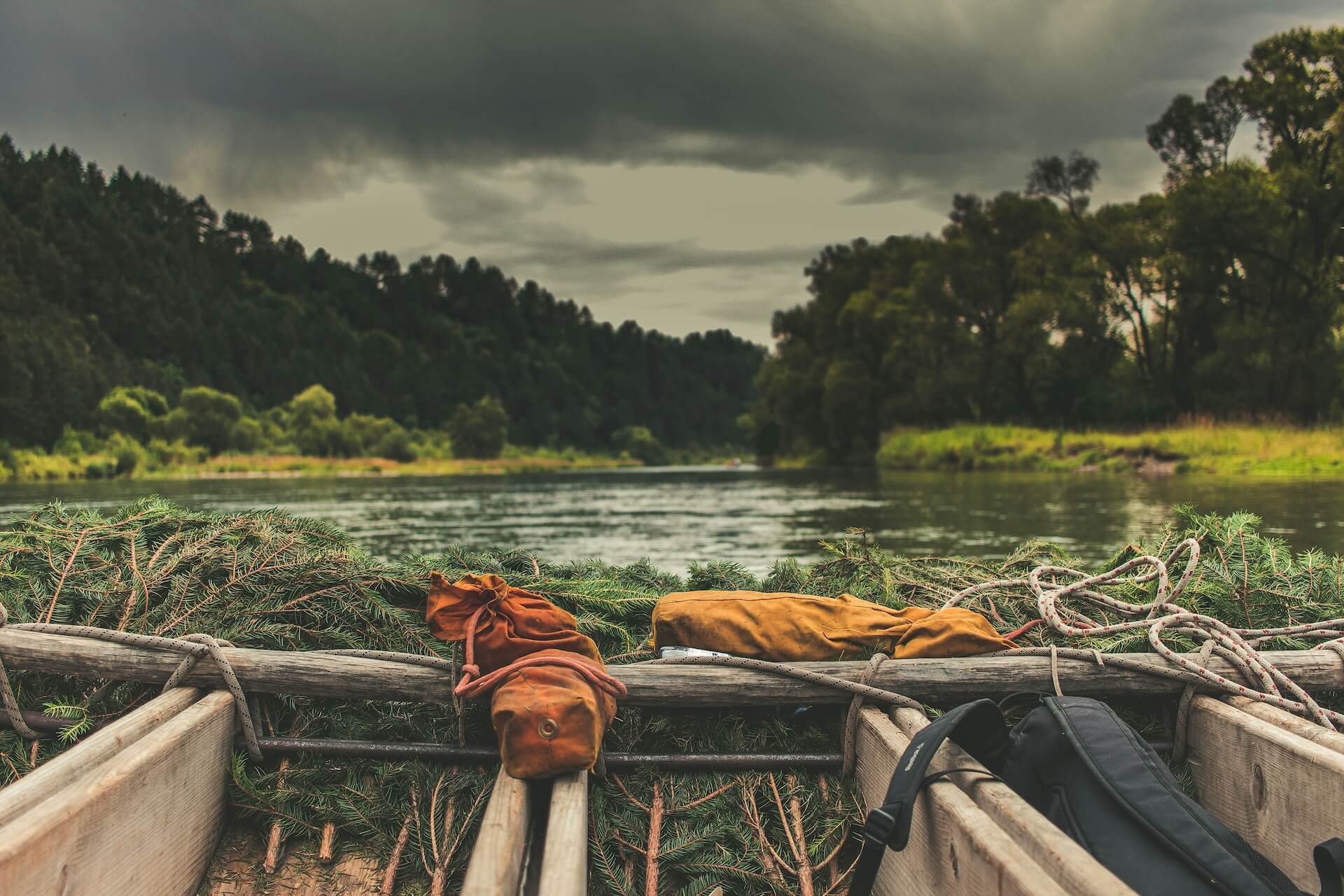 Wildlife and Ecosystems of Amazon Rivers, Jungle Adventures Peru