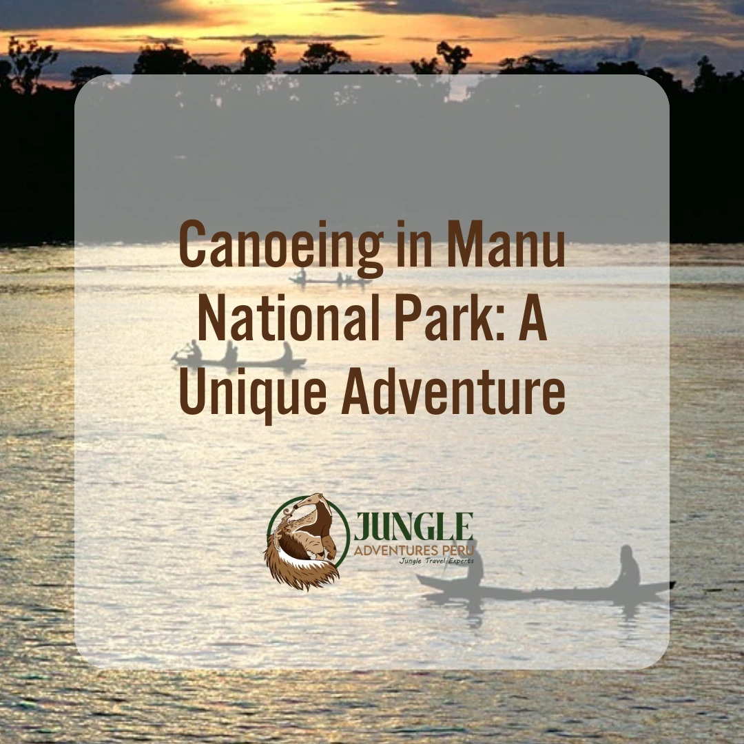Canoeing in Manu National Park: A Unique Adventure
