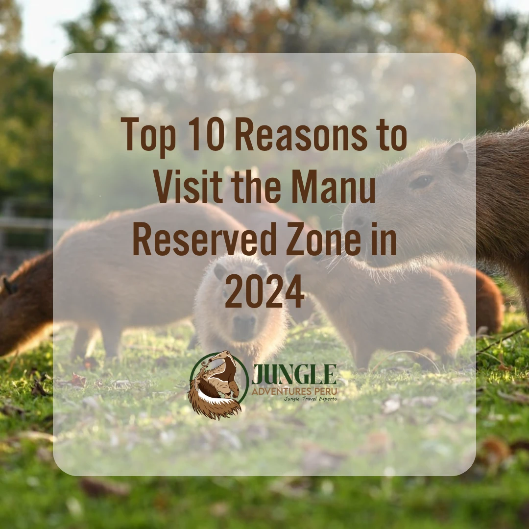 Top 10 Reasons to Visit the Manu Reserved Zone in 2024