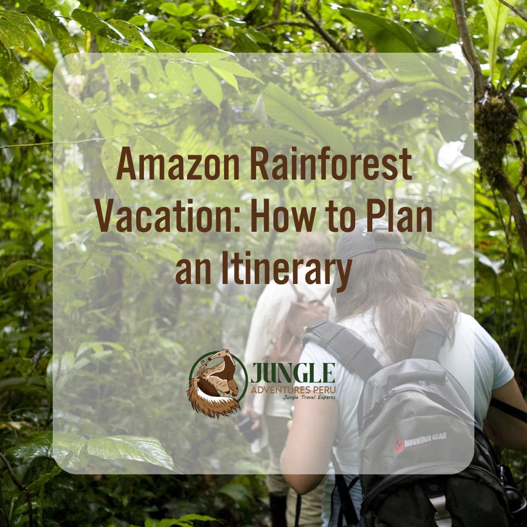 Amazon Rainforest Vacation: How to Plan an Itinerary