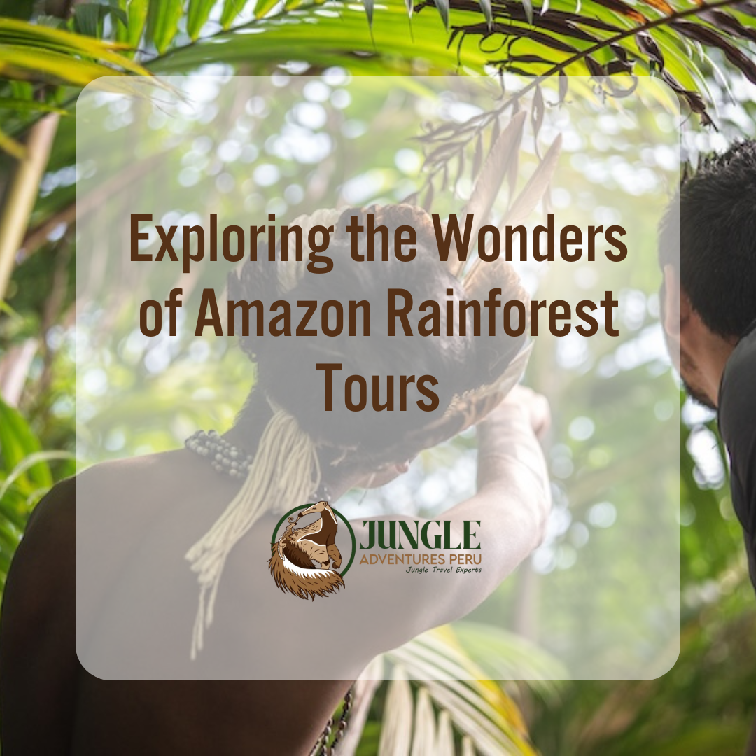 Amazon Rainforest Tours