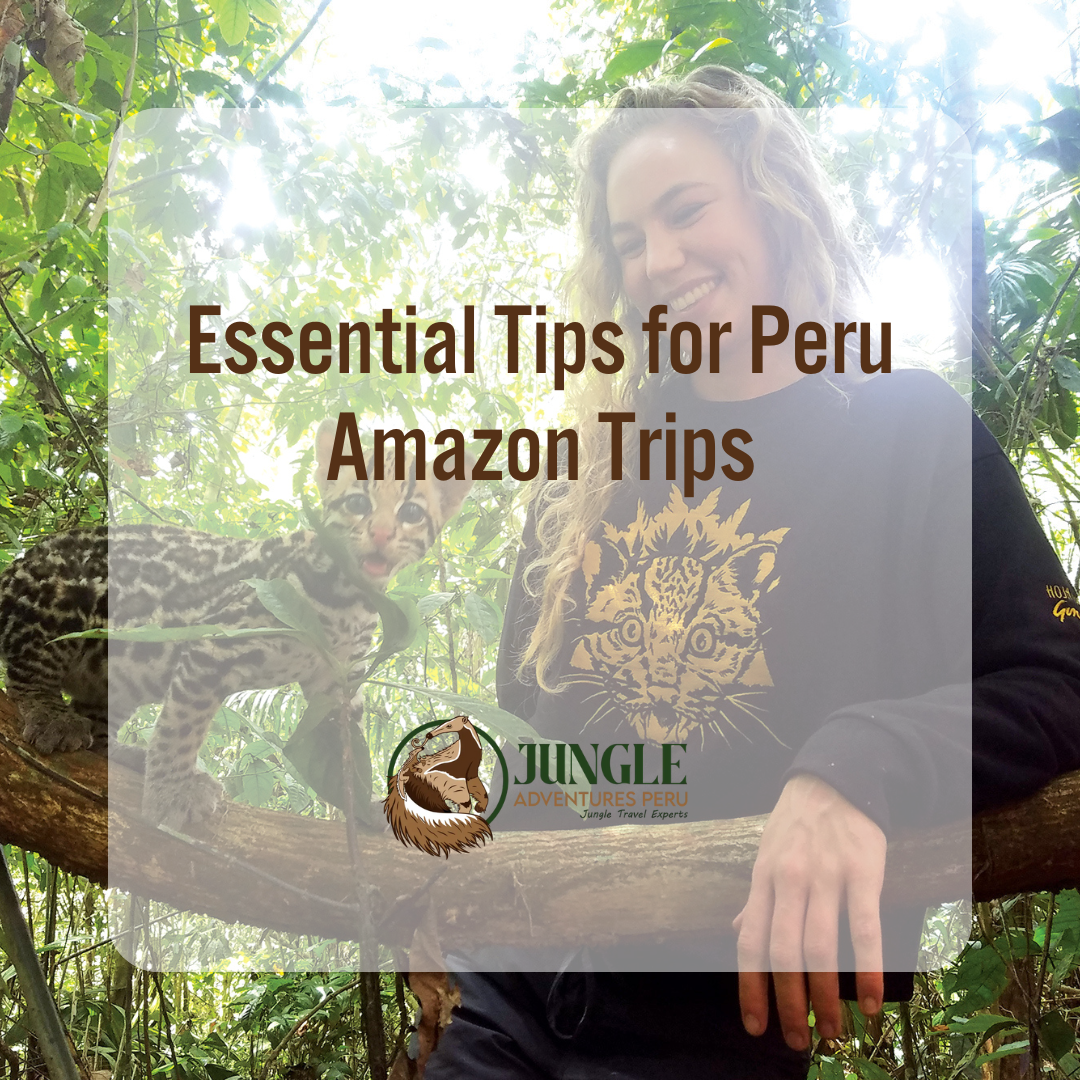 Essential Tips for Peru Amazon Trips