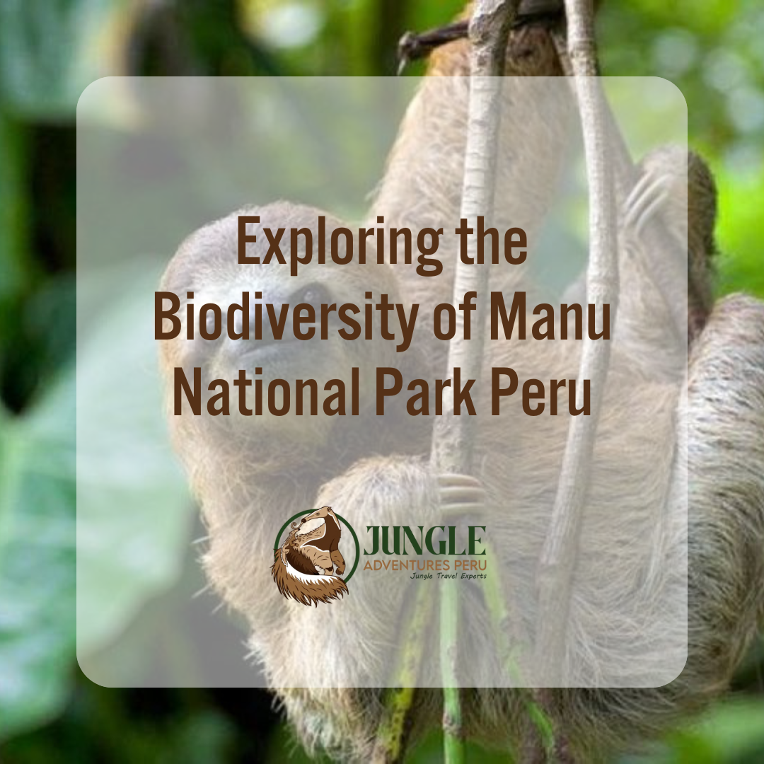 Manu National Park Peru
