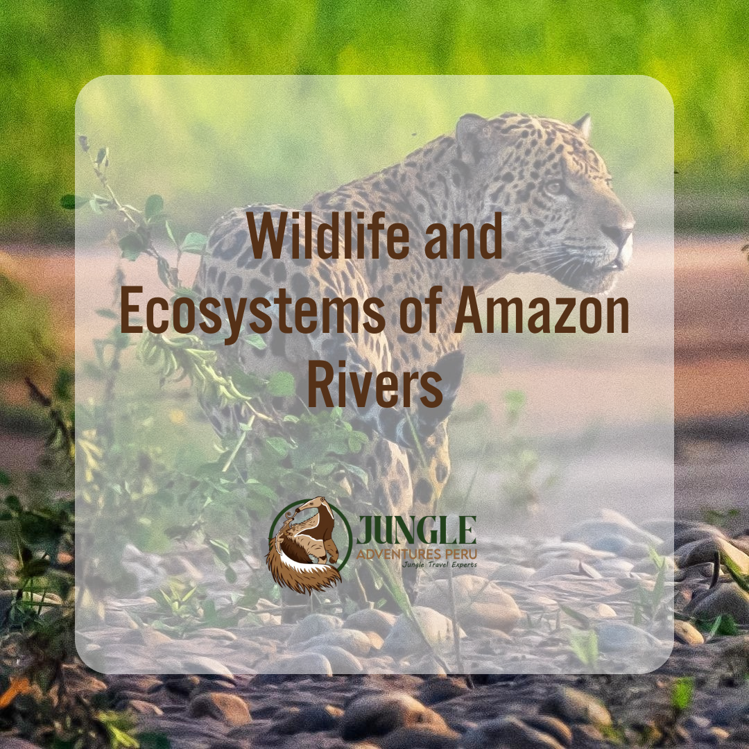 Wildlife and Ecosystems of Amazon Rivers