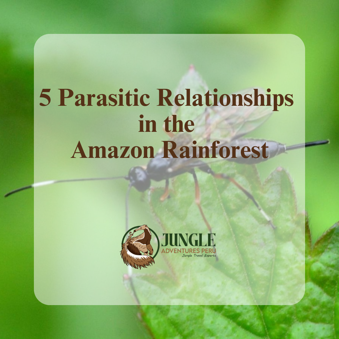 5 Parasitic Relationships in the Amazon Rainforest