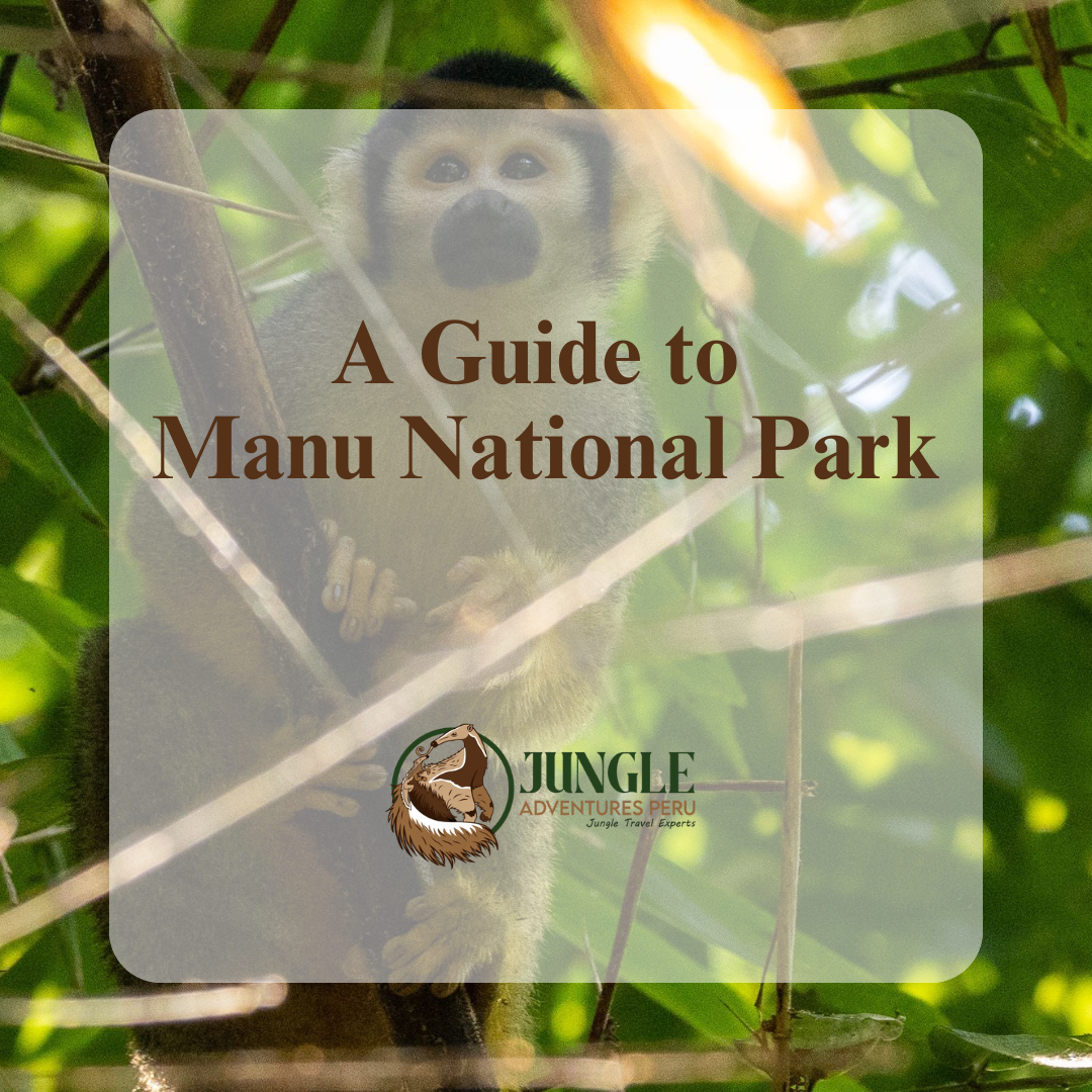 A Guide to Manu National Park