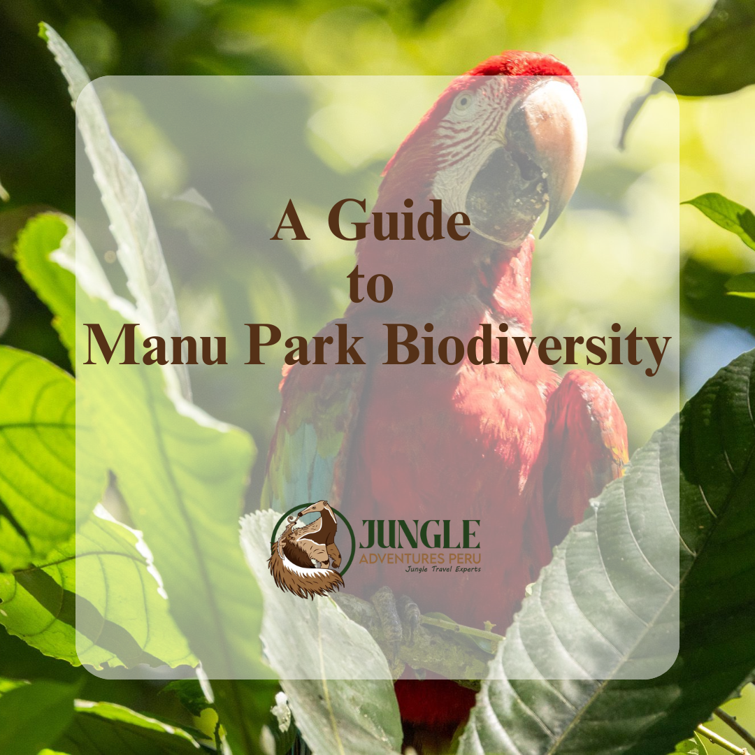 A Guide to Manu Park Biodiversity